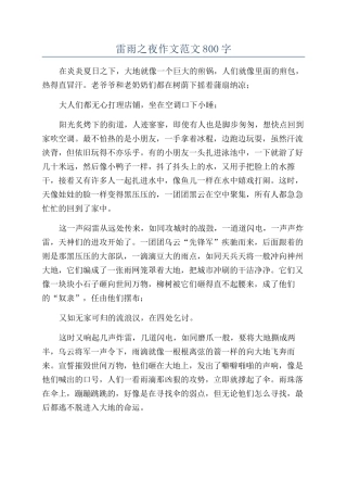 雷雨之夜作文范文800字
