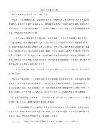 青年教师指导计划