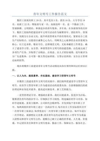 青年文明号工作报告范文