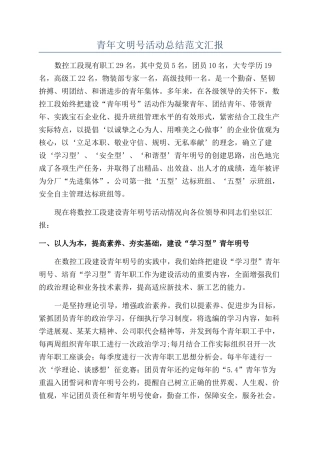 青年文明号活动总结范文汇报