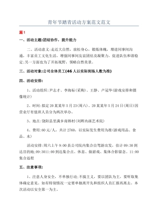 青年节踏青活动方案范文范文