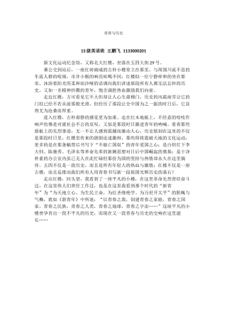 青春与历史王鹏飞
