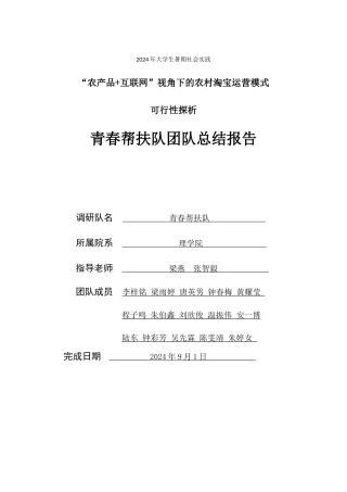青春帮扶队--团队总结报告