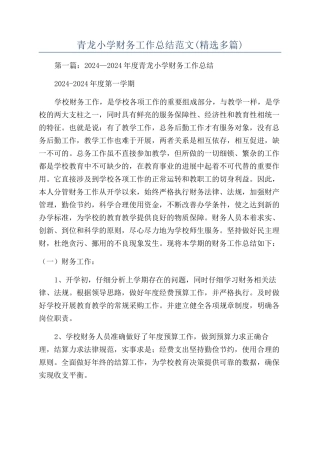 青龙小学财务工作总结范文