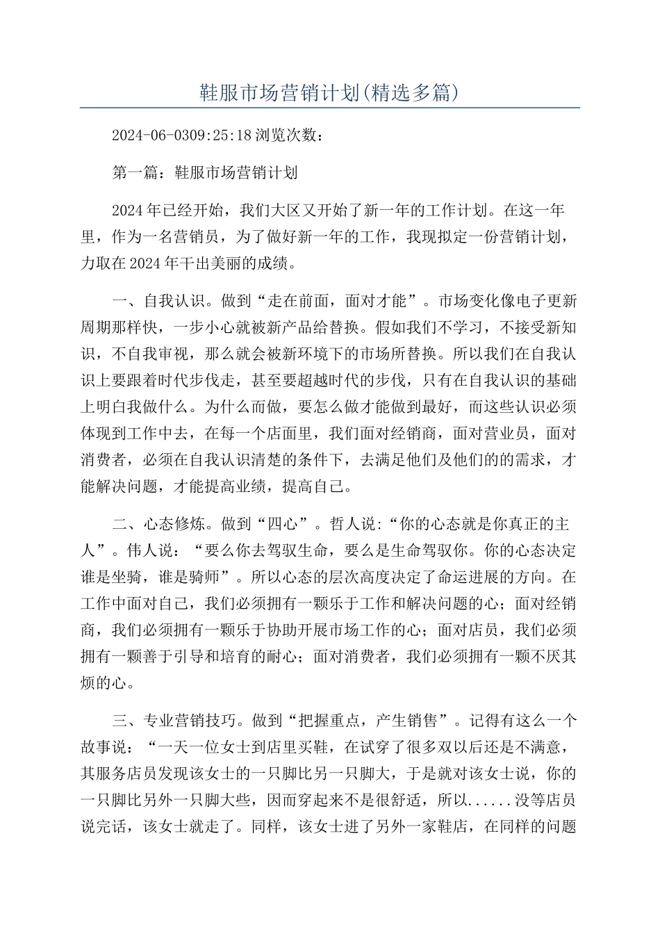 鞋服市场营销计划_第1页