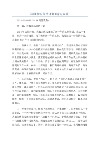 鞋服市场营销计划