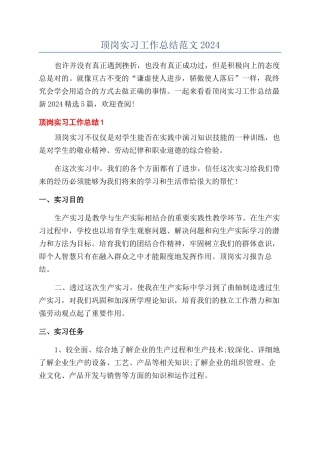 顶岗实习工作总结范文2024
