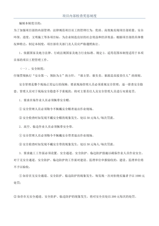 项目内部检查奖惩制度
