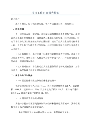 项目工作自查报告精彩