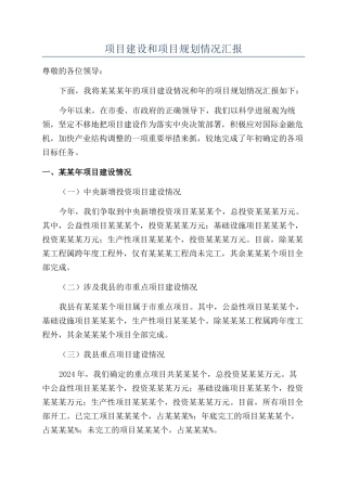 项目建设和项目规划情况汇报