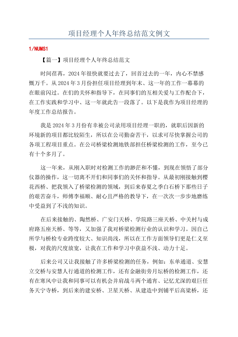 项目经理个人年终总结范文例文_第1页