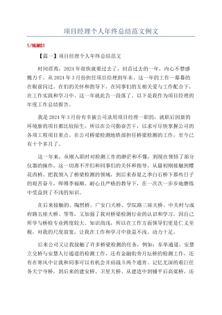 项目经理个人年终总结范文例文