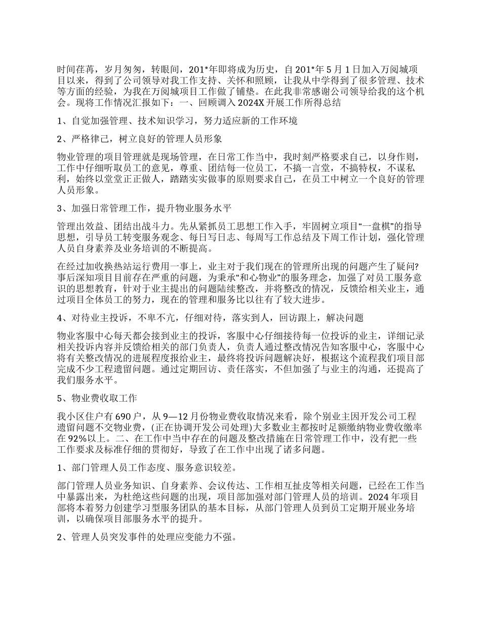 项目负责人2024年工作总结_第1页