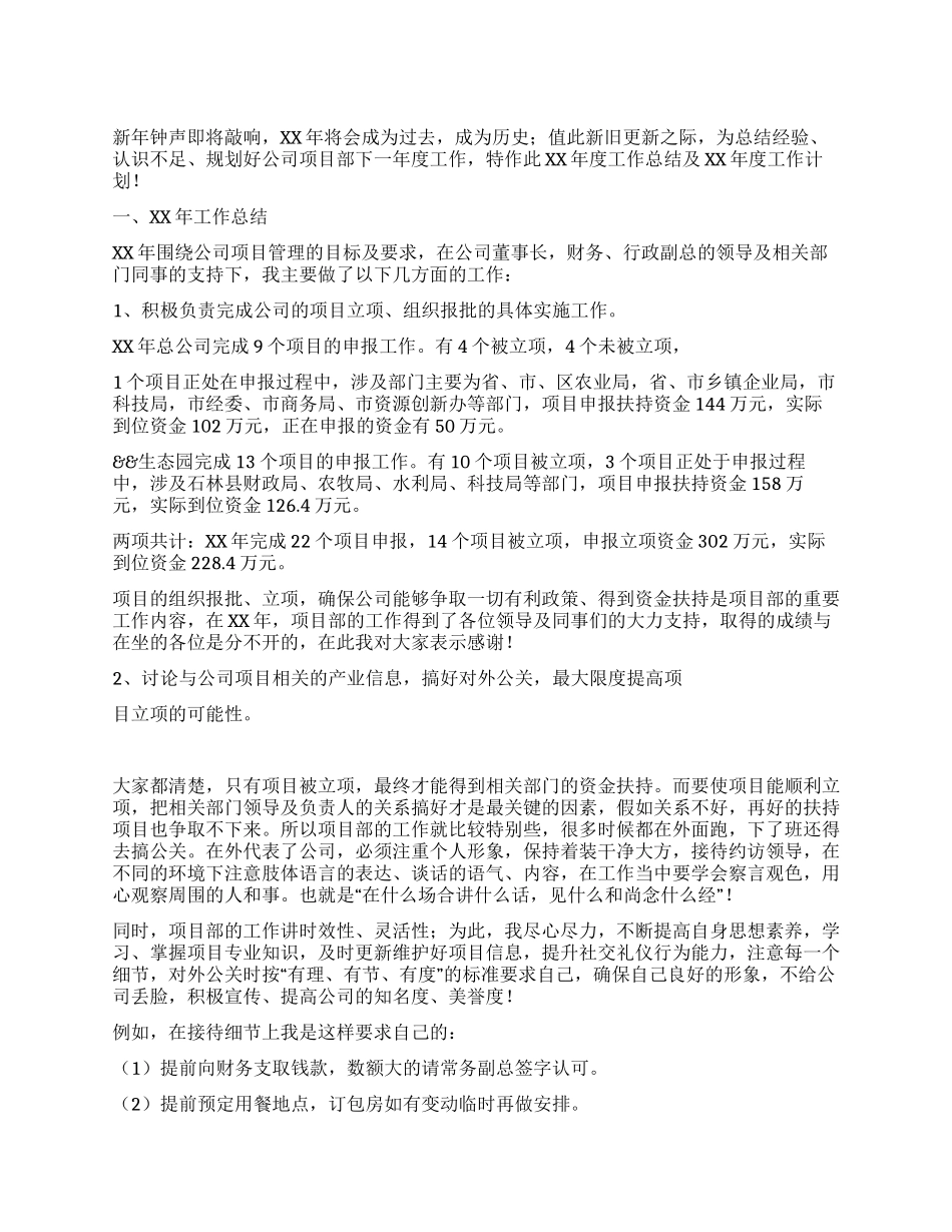 项目部工作总结_第1页