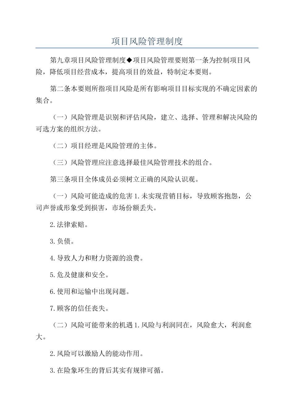 项目风险管理制度_第1页