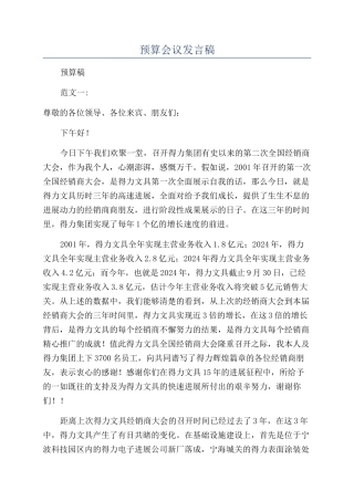 预算会议发言稿