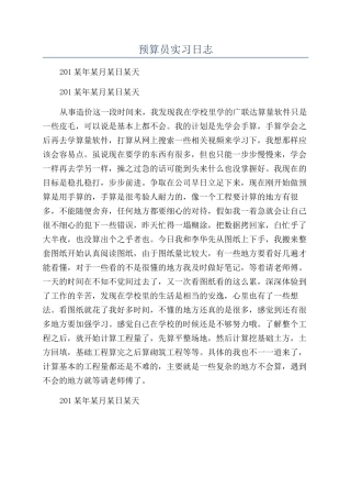 预算员实习日志