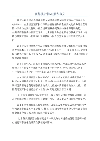 预算执行情况报告范文