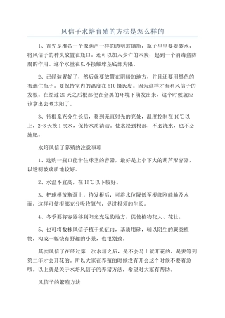 风信子水培养殖的方法是怎么样的