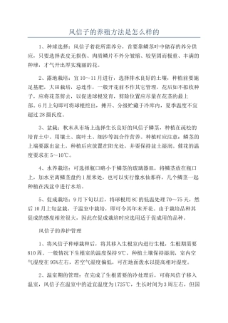 风信子的养殖方法是怎么样的
