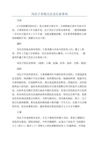 风信子养殖方法及注意事项