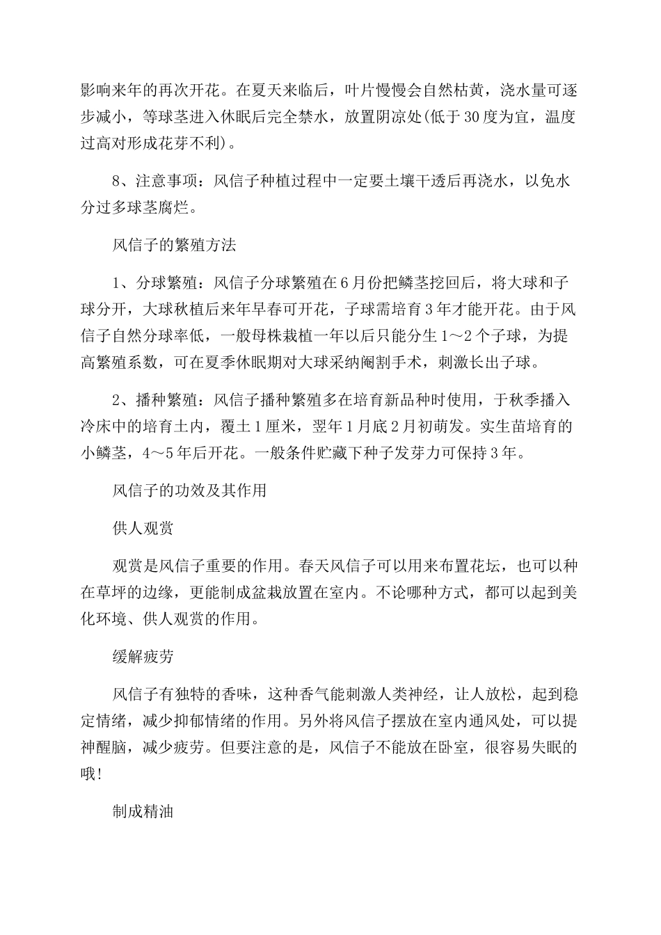 风信子的种球可以怎么去养殖_第2页