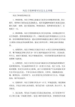 风信子的种球可以怎么去养殖