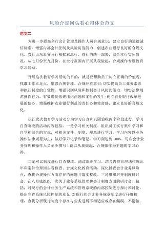 风险合规回头看心得体会范文