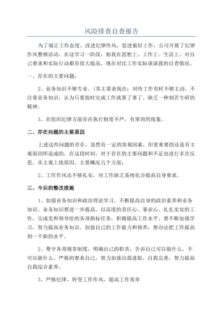 风险排查自查报告