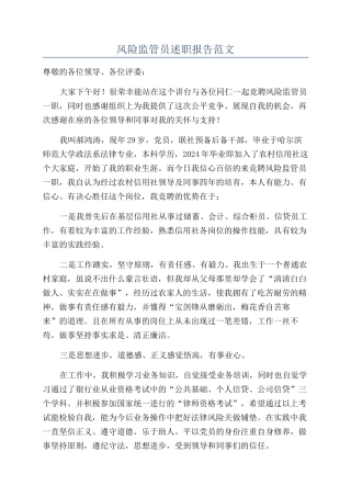 风险监管员述职报告范文