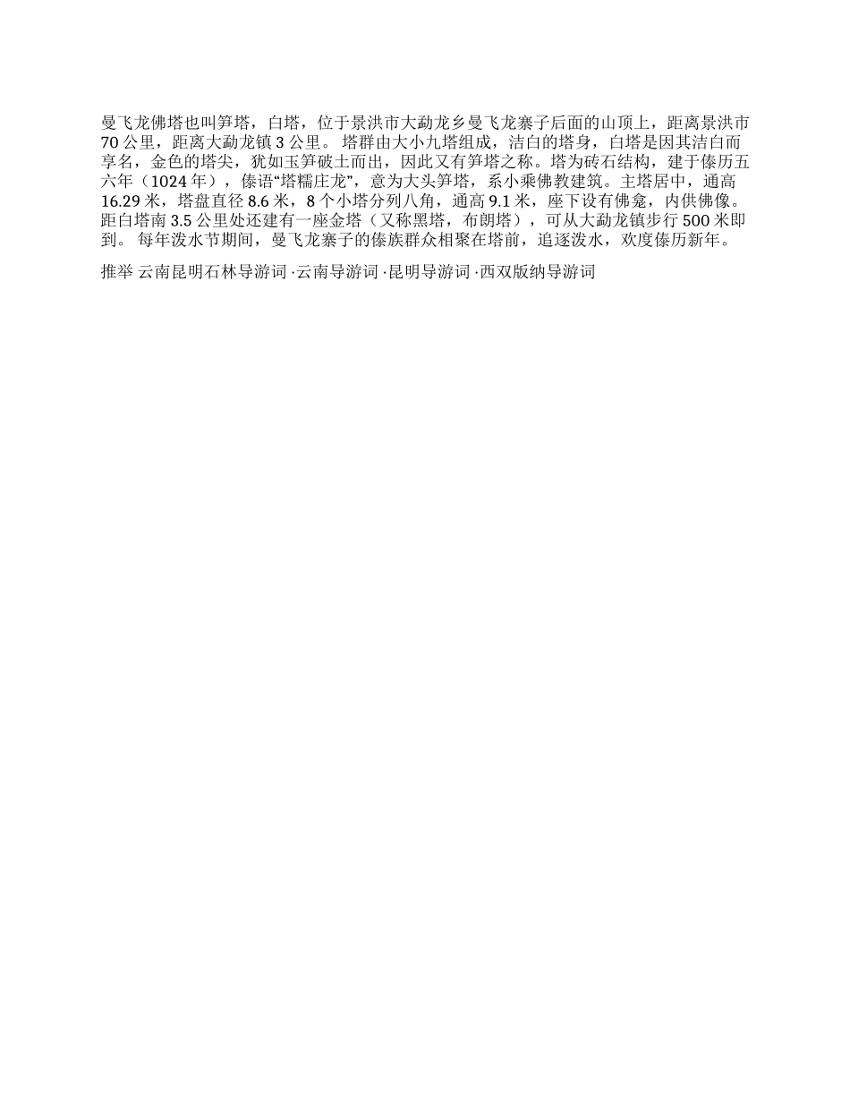 飞龙白塔导游词_第1页