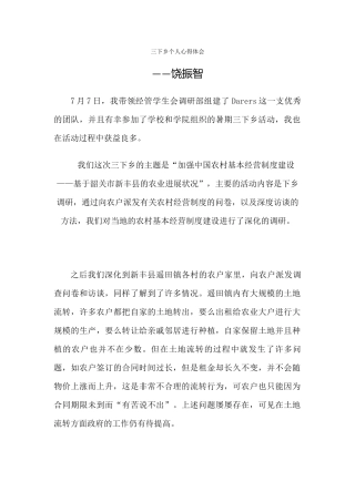 饶振智-三下乡总结
