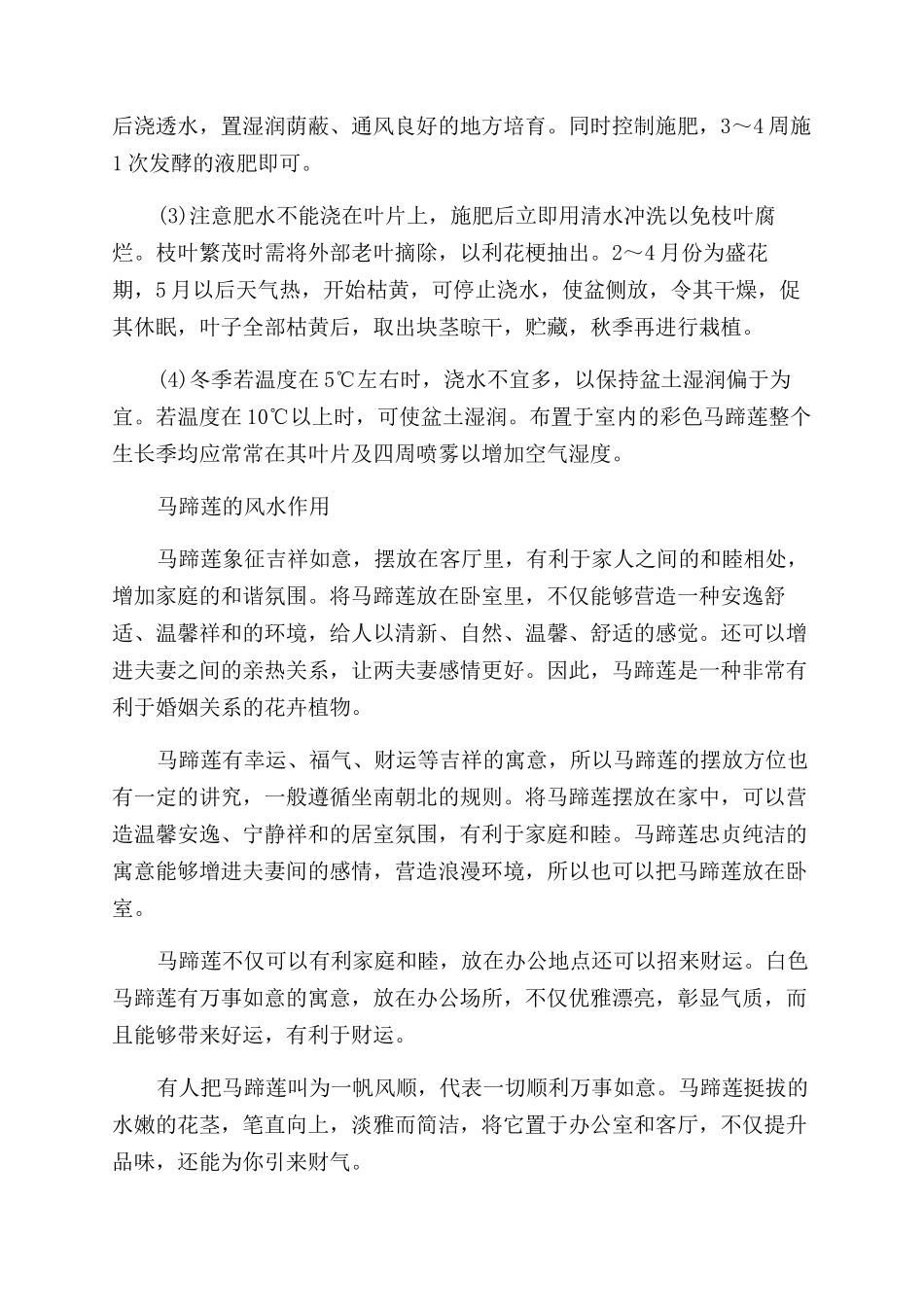 马蹄莲的养殖方法及注意事项_第2页