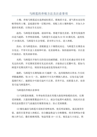 马蹄莲的养殖方法及注意事项