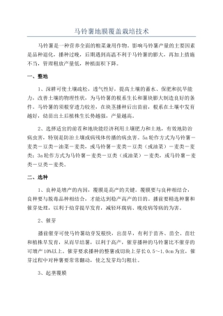 马铃薯地膜覆盖栽培技术