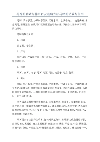 马蹄的功效与作用以及选购方法马蹄的功效与作用
