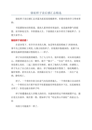 骆驼样子读后感汇总精选