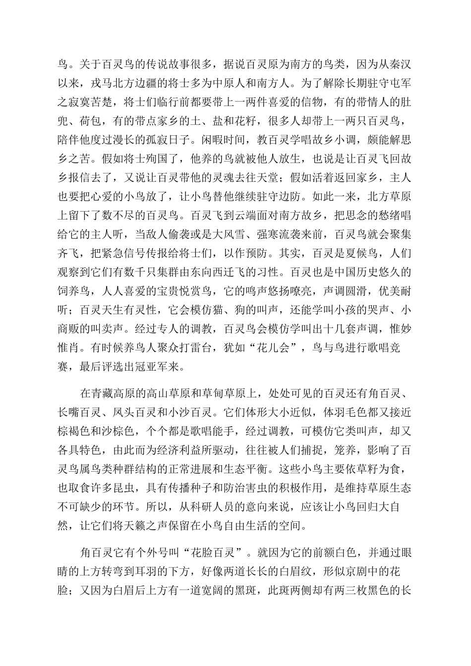 高原小鸟-精品文档_第3页