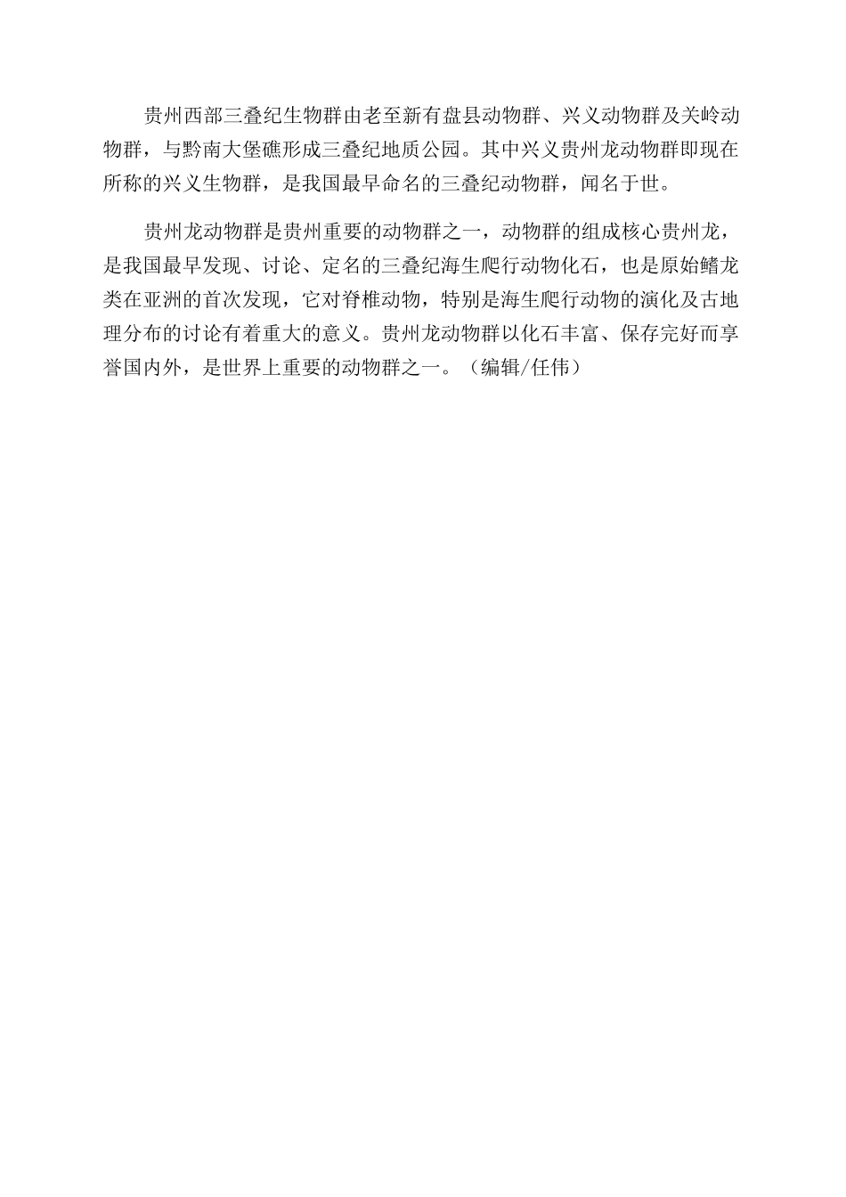 高原上的贵州龙_第3页