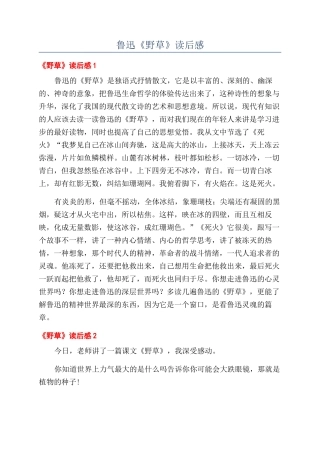 鲁迅《野草》读后感