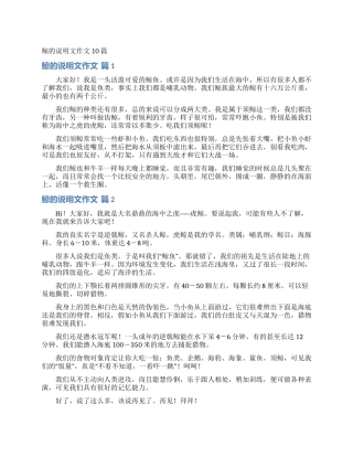 鲸的说明文作文10篇