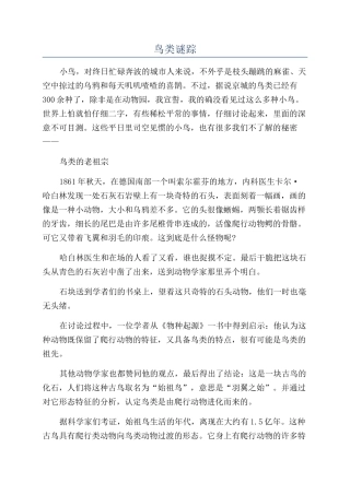 鸟类谜踪-精品文档