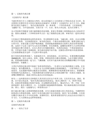 鸟的迁徙观后感