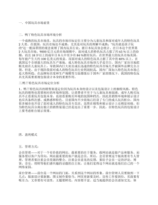 鸭丫特色玩具网上商城策划书