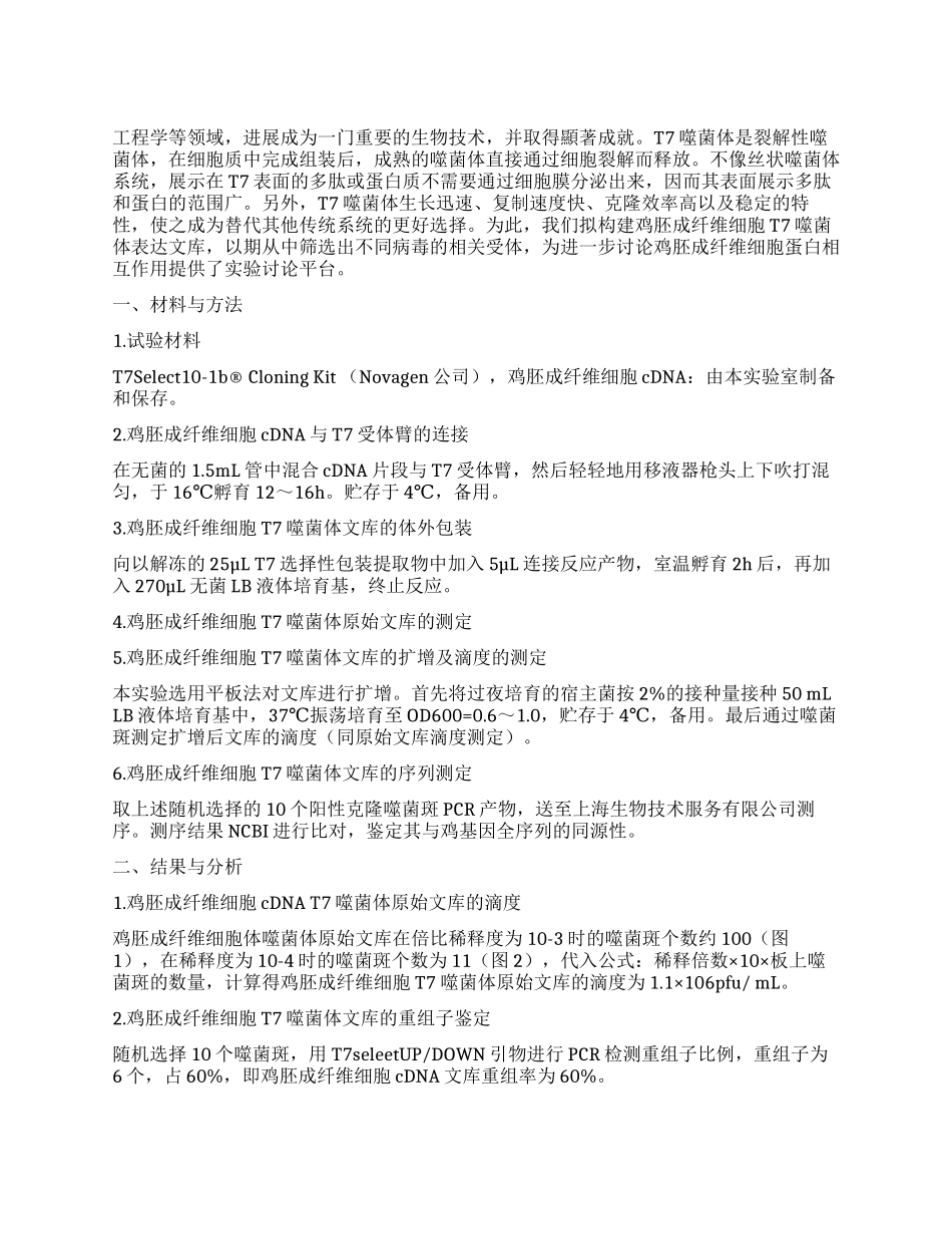 鸡胚成纤维细胞T7噬菌体文库的构建_第1页