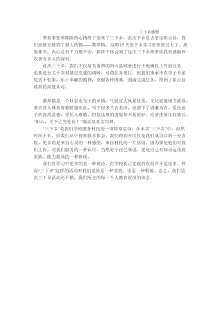 黄丹婷三下乡总结