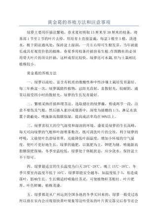 黄金葛的养殖方法和注意事项