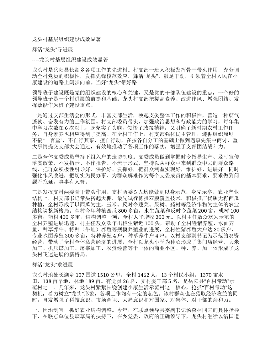 龙头村基层组织建设成效显著_第1页