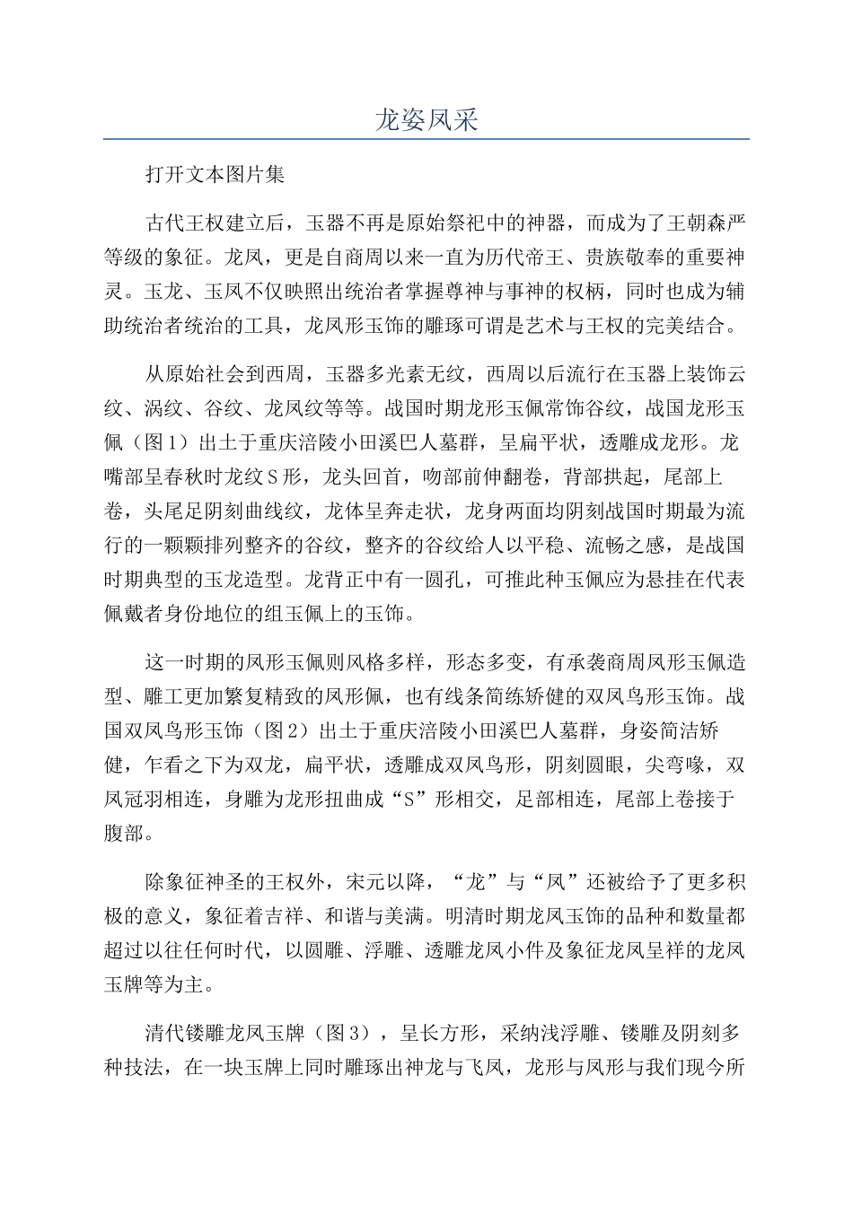 龙姿凤采-精品文档_第1页