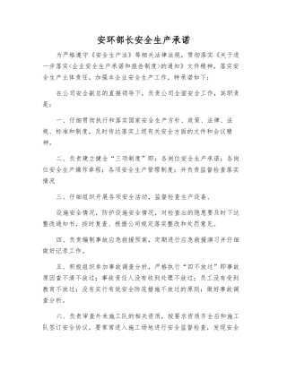 安环部长安全生产承诺